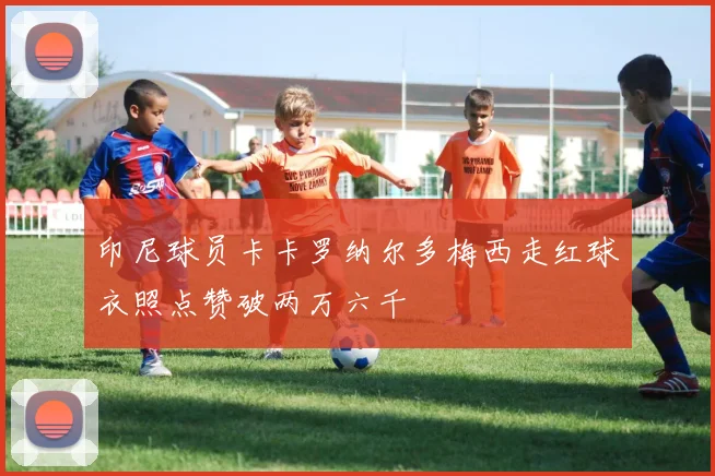 印尼球员卡卡罗纳尔多梅西走红球衣照点赞破两万六千