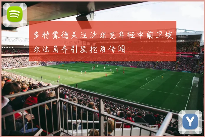 多特蒙德关注沙尔克年轻中前卫埃尔法乌齐引发挖角传闻